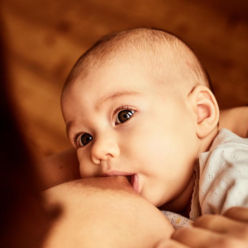 Stillberatung, Trageberatung, Babymassage, Stillberatung Wien, Trageberatung Wien, Babymassage Wien, Stillberatung 1130, Trageberatung 1130, Babymassage 1130