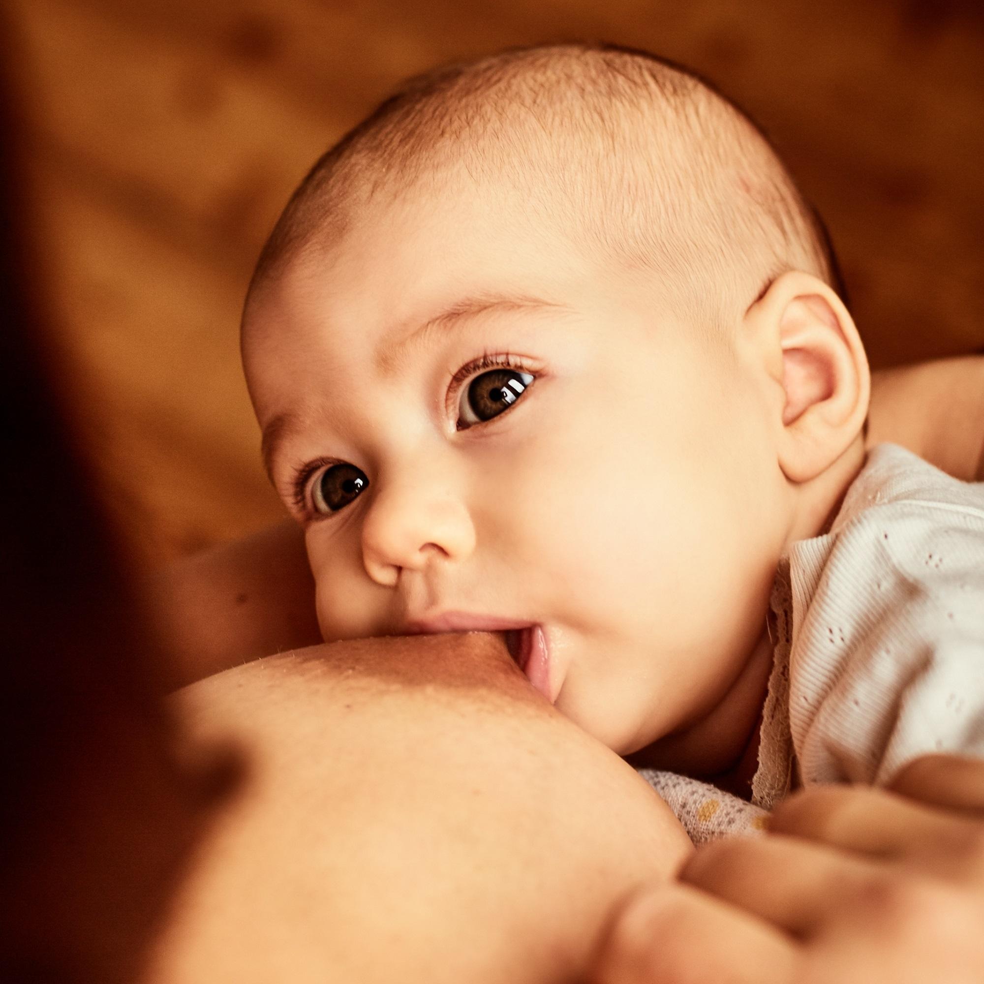 Stillberatung, Trageberatung, Babymassage, Stillberatung Wien, Trageberatung Wien, Babymassage Wien, Stillberatung 1130, Trageberatung 1130, Babymassage 1130