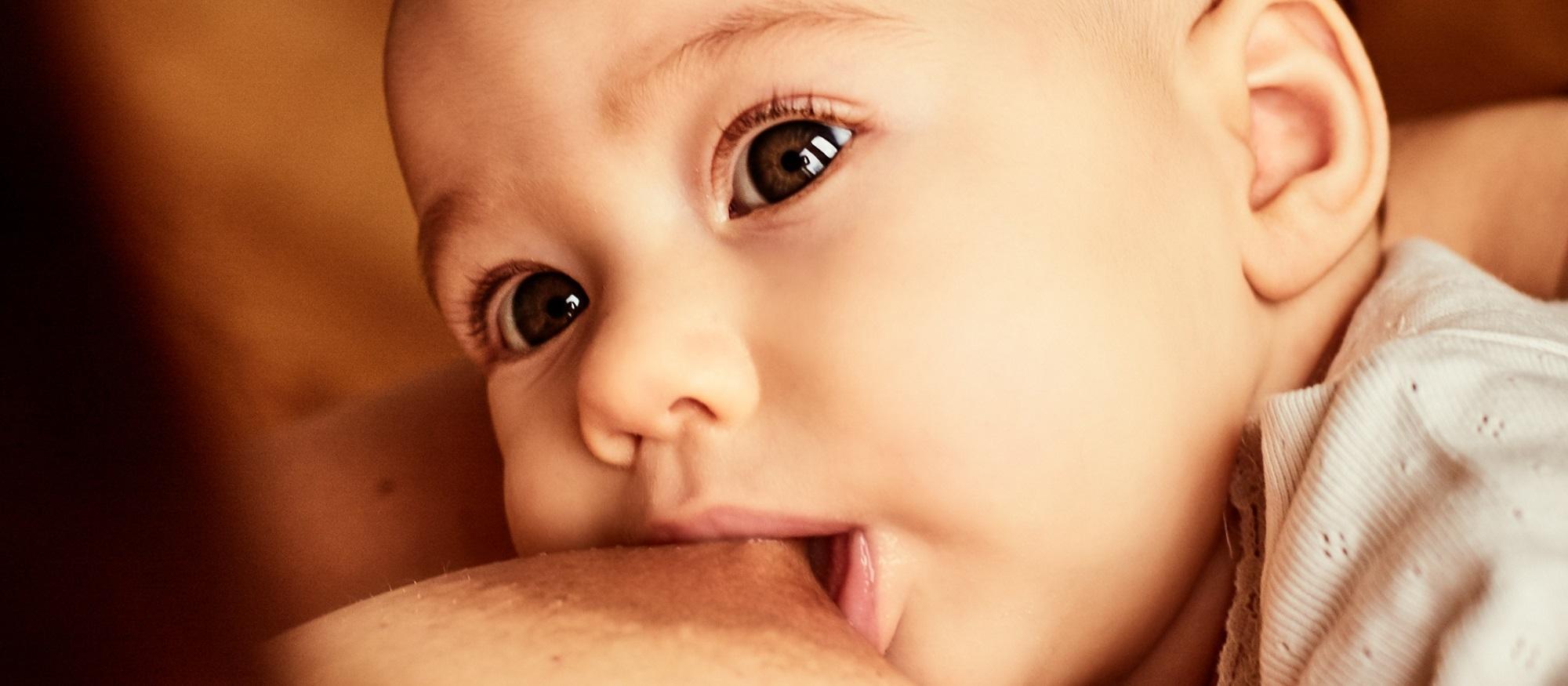 Stillberatung, Trageberatung, Babymassage, Stillberatung Wien, Trageberatung Wien, Babymassage Wien, Stillberatung 1130, Trageberatung 1130, Babymassage 1130